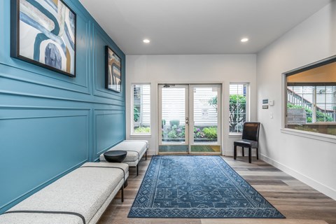 a blue accent wall in a living room with a couch and a rug